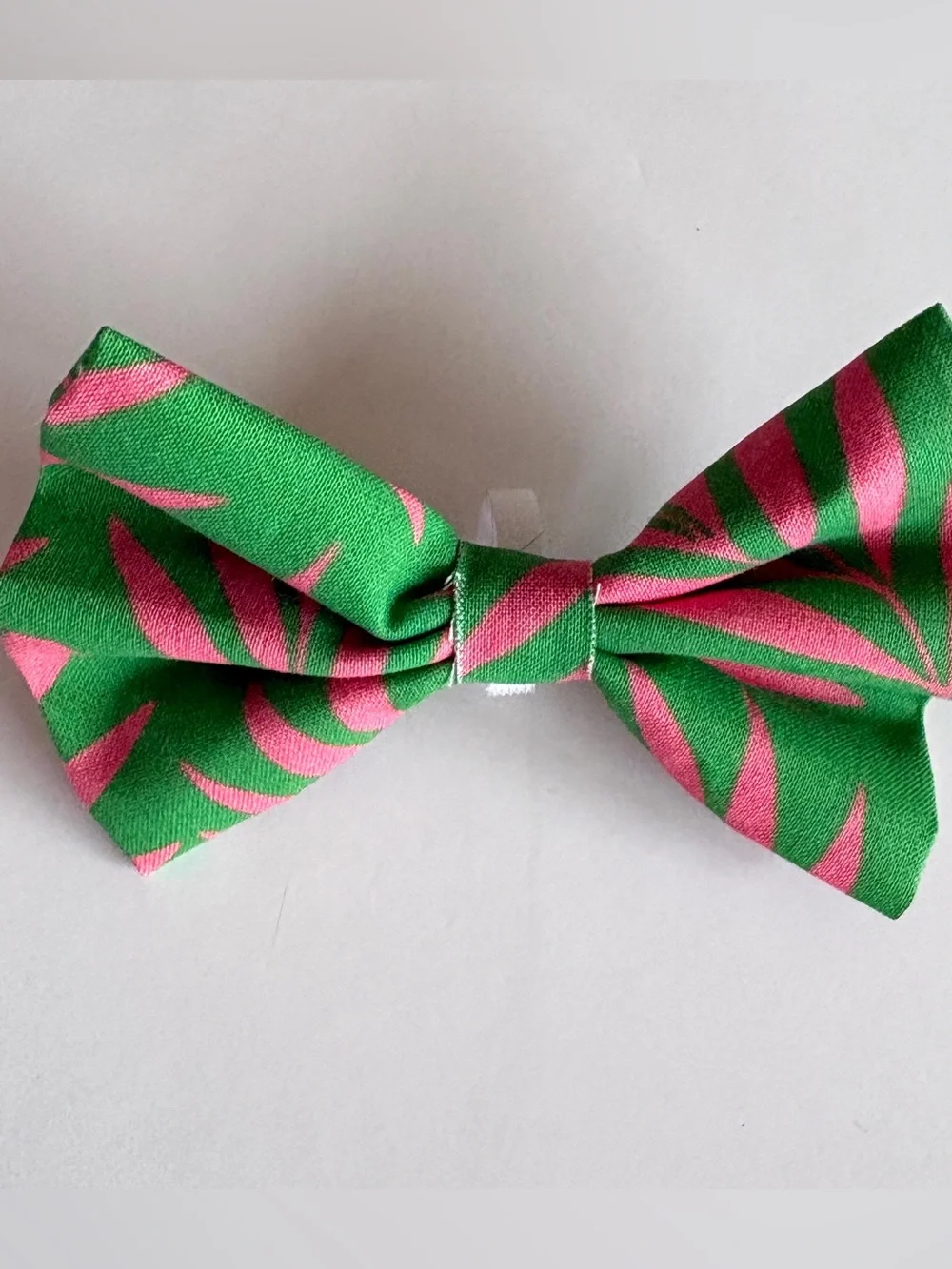 Palm Springs Dog Bow